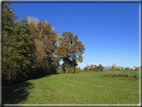 foto Alle pendici del Monte Grappa in Autunno